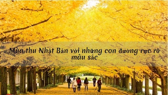 Nhiệt độ ở Nhật Bản quanh năm ra sao?