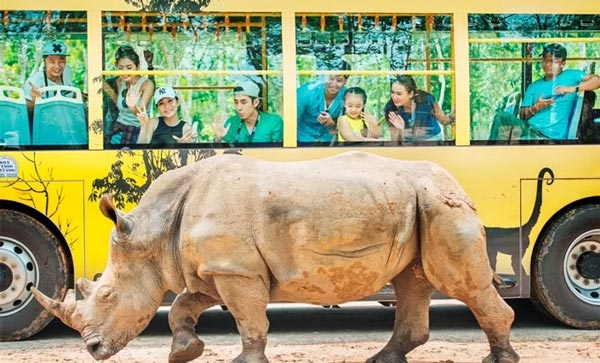 Vinpearl Land giảm giá vé cho người miền Trung, Tây Nam Bộ
