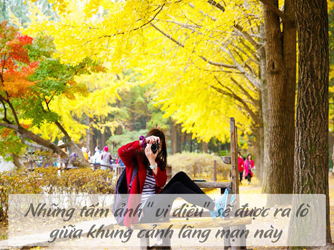 4 lý do để không thể không đến Hàn Quốc mùa thu này