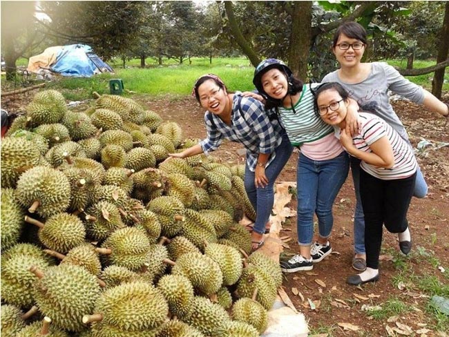 12 miệt vườn trái cây miền Tây nổi tiếng nhất kèm địa chỉ chi tiết