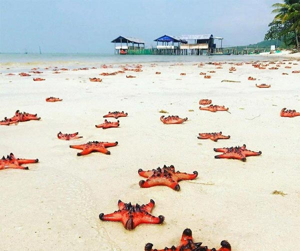 TOP CÁC ĐỊA ĐIỂM DU LỊCH PHÚ QUỐC NÊN ĐẾN TRONG ĐỜI