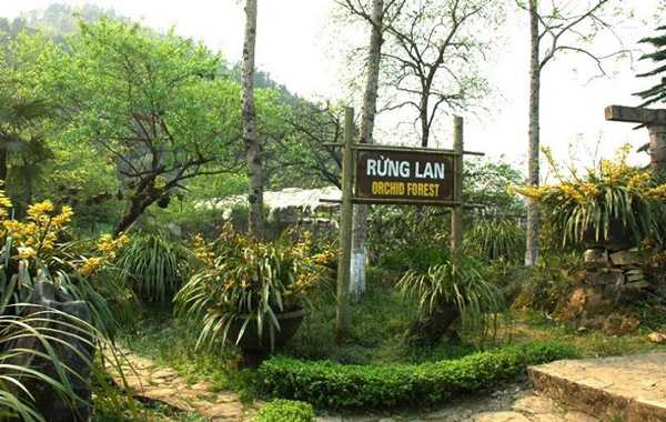 Kinh nghiệm du lịch núi Hàm Rồng – điểm đến hấp dẫn tại Sapa