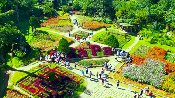 Kinh nghiệm du lịch núi Hàm Rồng – điểm đến hấp dẫn tại Sapa