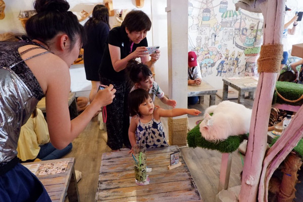 Tiệm cà phê mèo hút khách ở Bangkok