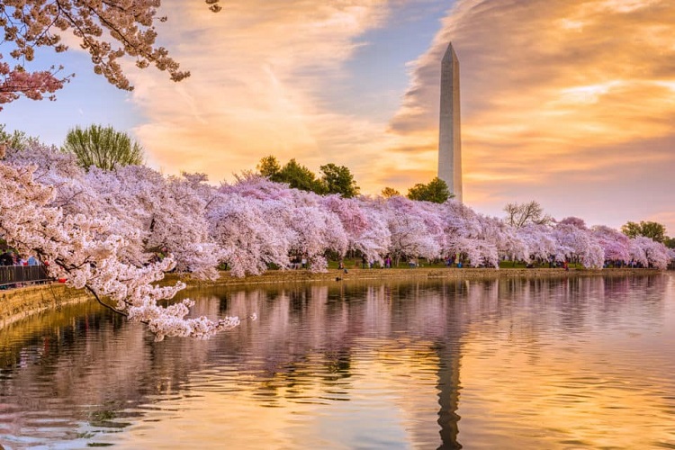 WASHINGTON D.C - Thủ đô nước Mỹ, điểm đến trong mơ của mọi du khách