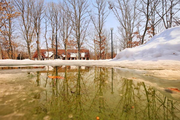 Những trải nghiệm tuyệt vời ở xứ sở băng giá Hokkaido