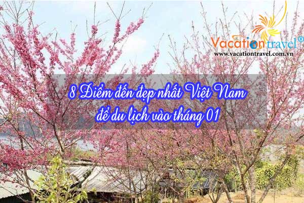8 điểm đến đẹp nhất Việt Nam để du lịch vào tháng 1/2018