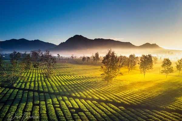 Sương sớm đẹp như tranh ở Biển Hồ Pleiku