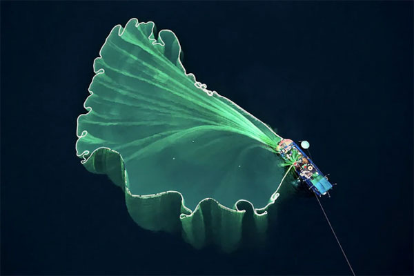 Những bức ảnh TG cuốn hút trong cuộc thi ảnh fly came đầy sức hút