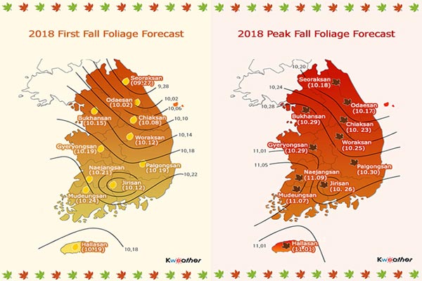 Ngày 27 tháng 9 này núi Seoraksan chào đón những chiếc lá vàng, lá đỏ mùa thu đầu tiên