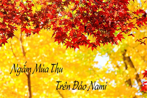 Du lịch Hàn Quốc ngắm mùa thu tại hòn đảo trong phim ‘Bản tình ca mùa đông’