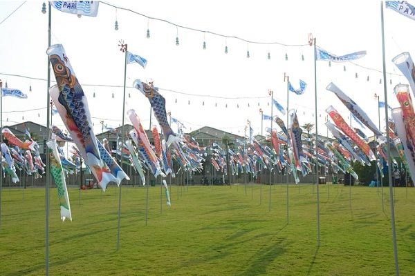 Người Sài Gòn thích thú với ‘cánh đồng cá Koi’ gần xịt quận 7!