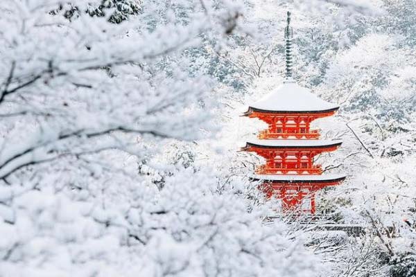 Ngắm Kyoto đẹp như cổ tích mùa tuyết rơi