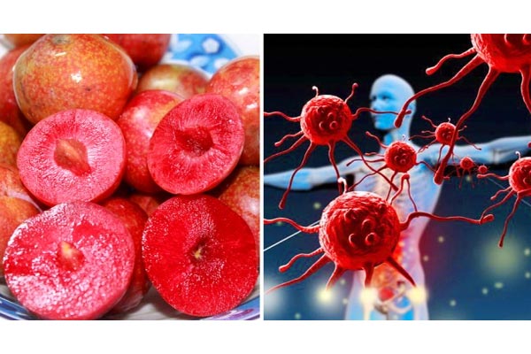 5 loại quả rất giàu vitamin C nên ăn hàng ngày để tăng cường hệ miễn dịch