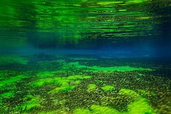 Hồ nước trong sạch nhất thế giới