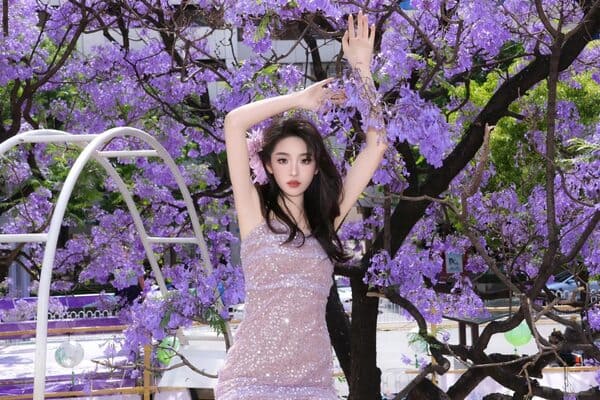 Mùa Hoa Phượng Tím Ở Côn Minh – Thời Điểm Đẹp Nhất Du Lịch Trung Quốc
