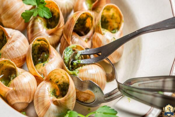 Escargot – Đặc Sản Ốc Sên Nướng Bơ Tỏi Nổi Tiếng Của Pháp