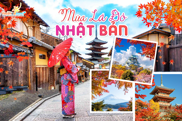 Lịch Dự Báo Mùa Lá Đỏ Nhật Bản Năm 2024