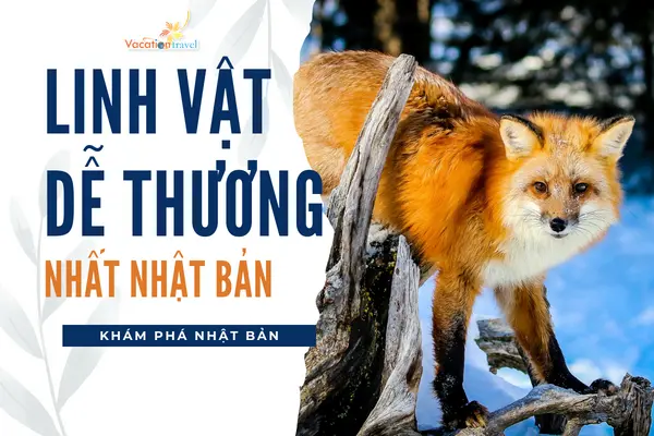 Linh vật dễ thương nhất Nhật Bản, bạn biết chưa?