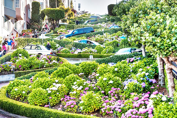 Đường Hoa Lombard Tại San Francisco – Con Đường Uốn Lượn Đẹp Nhất Thế Giới