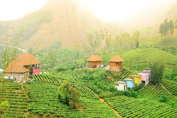 KHÁM PHÁ MỘC CHÂU THÁNG 5 – VẺ ĐẸP MÊ HOẶC GIỮA SẮC XANH NÚI ĐỒI VÀ MÙA MẬN CHÍN