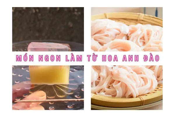 Món ngon làm từ hoa anh đào khi du lịch Nhật Bản không nên bỏ qua