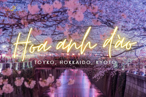Nơi ngắm hoa anh đào đẹp nhất Nhật Bản khi tới Tokyo, Hokkaido và Kyoto