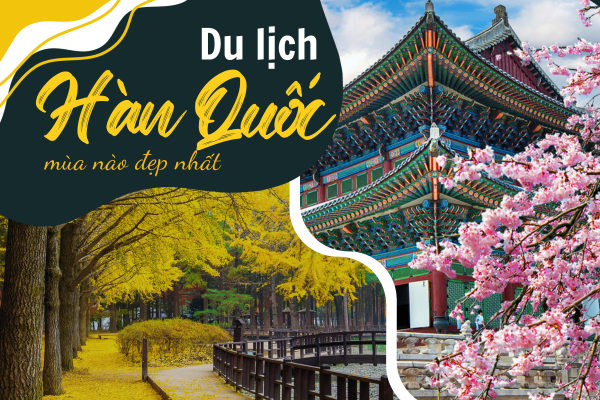 Du lịch Hàn Quốc 2023 theo mùa - Mùa nào đẹp nhất?