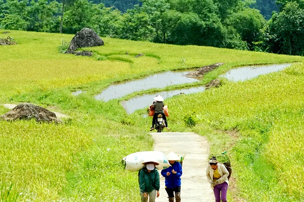 Chia sẻ kinh nghiệm du lịch Pù Luông Thanh Hóa đầy đủ từ A - Z