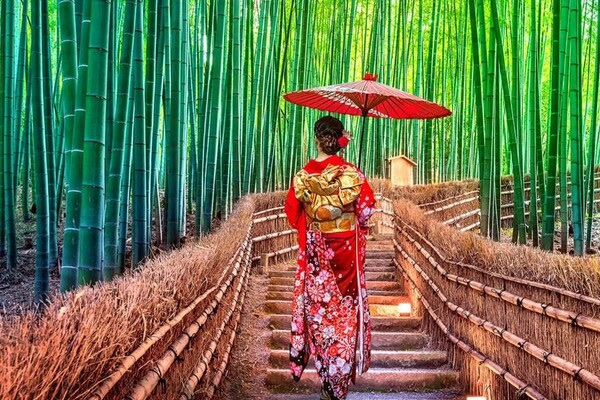 Khám phá rừng tre Sagano, mê cung xanh mướt giữa lòng Kyoto