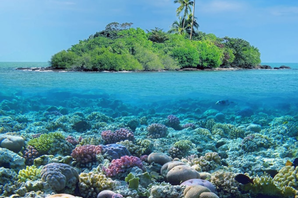 Đảo San Hô Đảo Coral