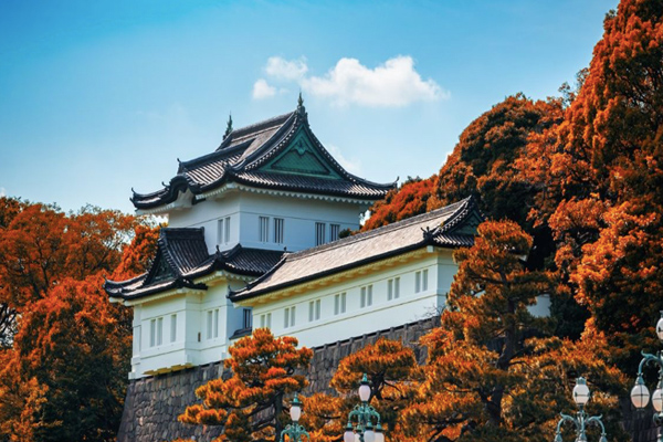 Tour Nhật Bản