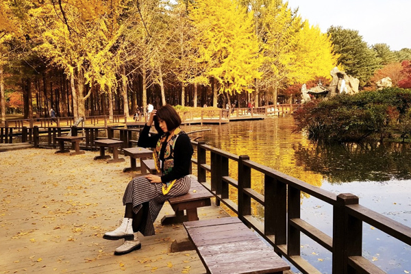 Tour hàn quốc mùa thu