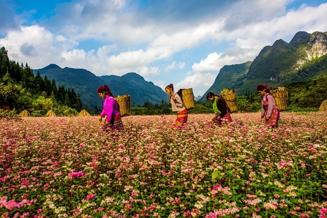 TOUR ĐÔNG BẮC