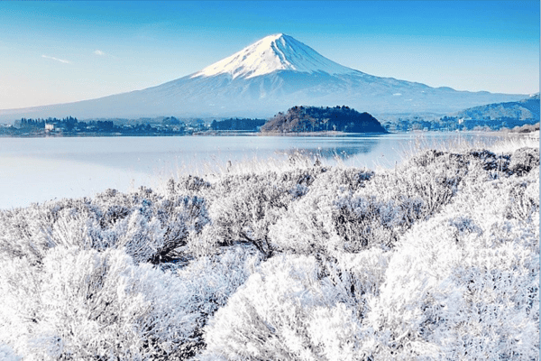 Tour Nhật Bản Mùa Đông 6N5Đ | Nagoya – Shirakawago – Fuji – Tokyo