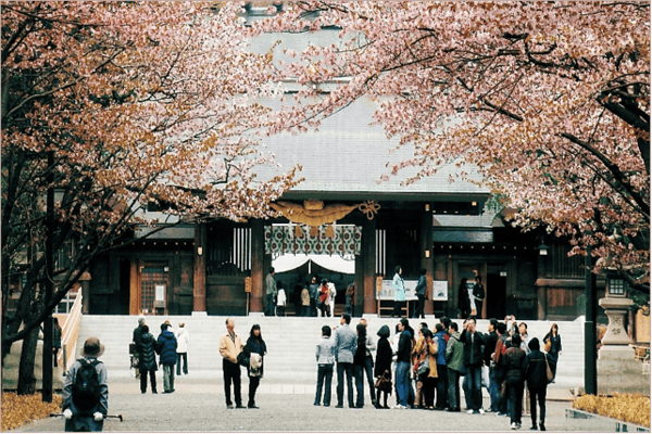Tour Nhật Bản Mùa Hoa Anh Đào 5N5Đ | Asahikawa – Sapporo