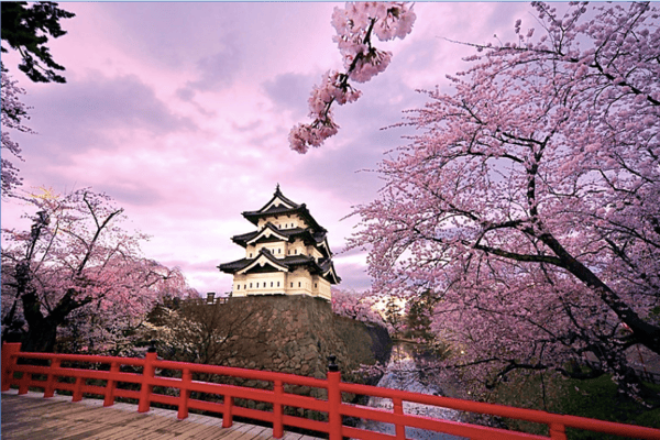 Tour Nhật Bản Mùa Hoa Anh Đào 6N5Đ | Kobe – Osaka – Tokyo