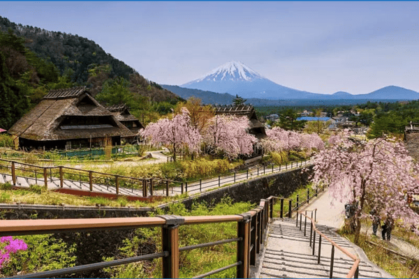 Tour Du Lịch Nhật Bản Mùa Hoa Chi Anh 6N5Đ – Vietnam Airlines | Kobe, Osaka, Kyoto, Fuji, Tokyo