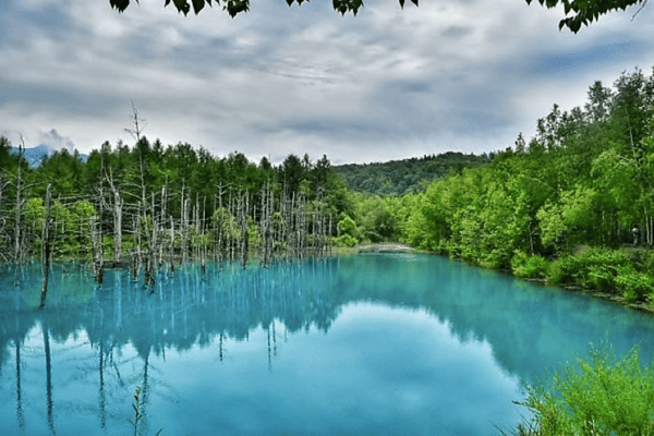 Tour Hokkaido 6N6Đ Mùa Hè: Noboribetsu – Sapporo – Asahikawa | Bay Japan Airlines 5*