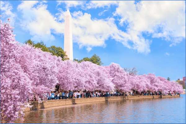 Tour Mỹ 10N9Đ Đông Tây: New York – Washington D.C – Las Vegas – Los Angeles – San Diego
