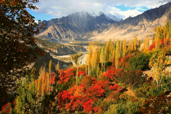TOUR ĐỘC LẠ PAKISTAN