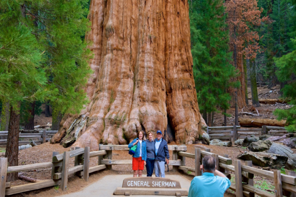 TOUR MỸ BỜ TÂY
