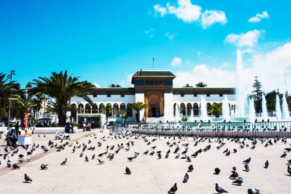 TOUR CHÂU PHI