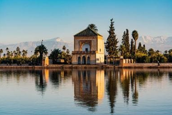 TOUR CHÂU PHI