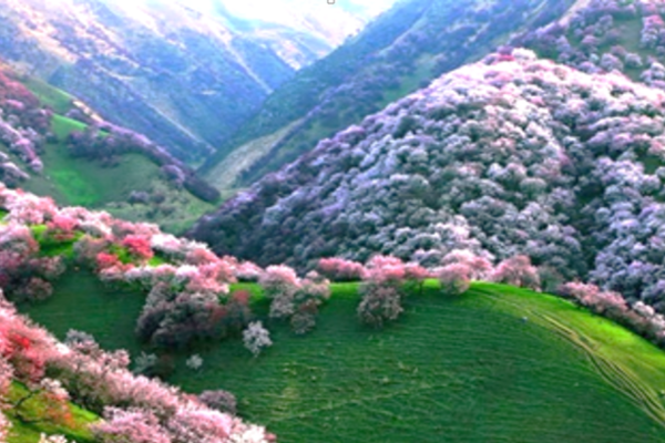 TOUR TÂN CƯƠNG