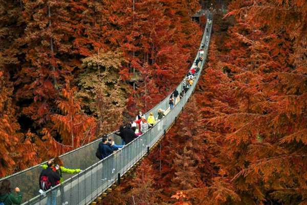 TOUR DU LICH MY