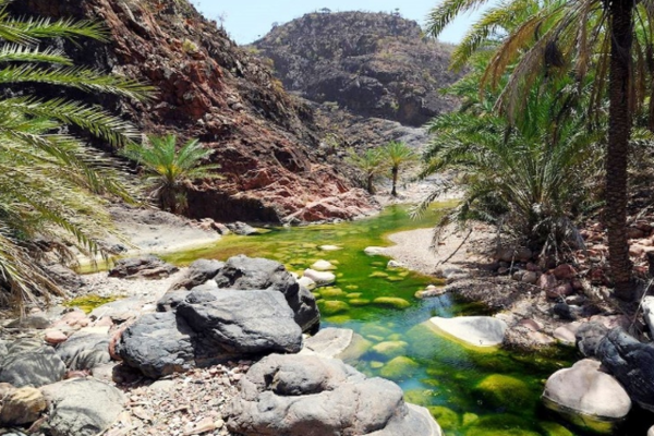 Tour du lich Socotra