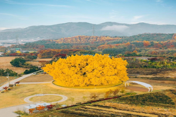 TOUR DU LICH TAY TANG