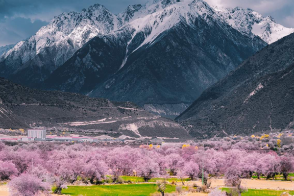 TOUR DU LICH TAY TANG