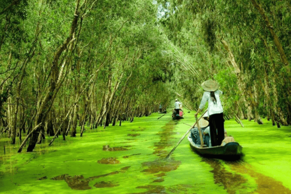 Tour Sài Gòn – Mỹ Tho – Bến Tre – Châu Đốc – Cần Thơ – Chợ Nổi 3N2Đ